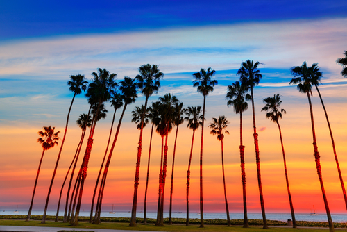 How to Renew a British Passport in California